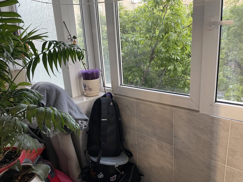 mihail sebastian,strada novaci,prosper,